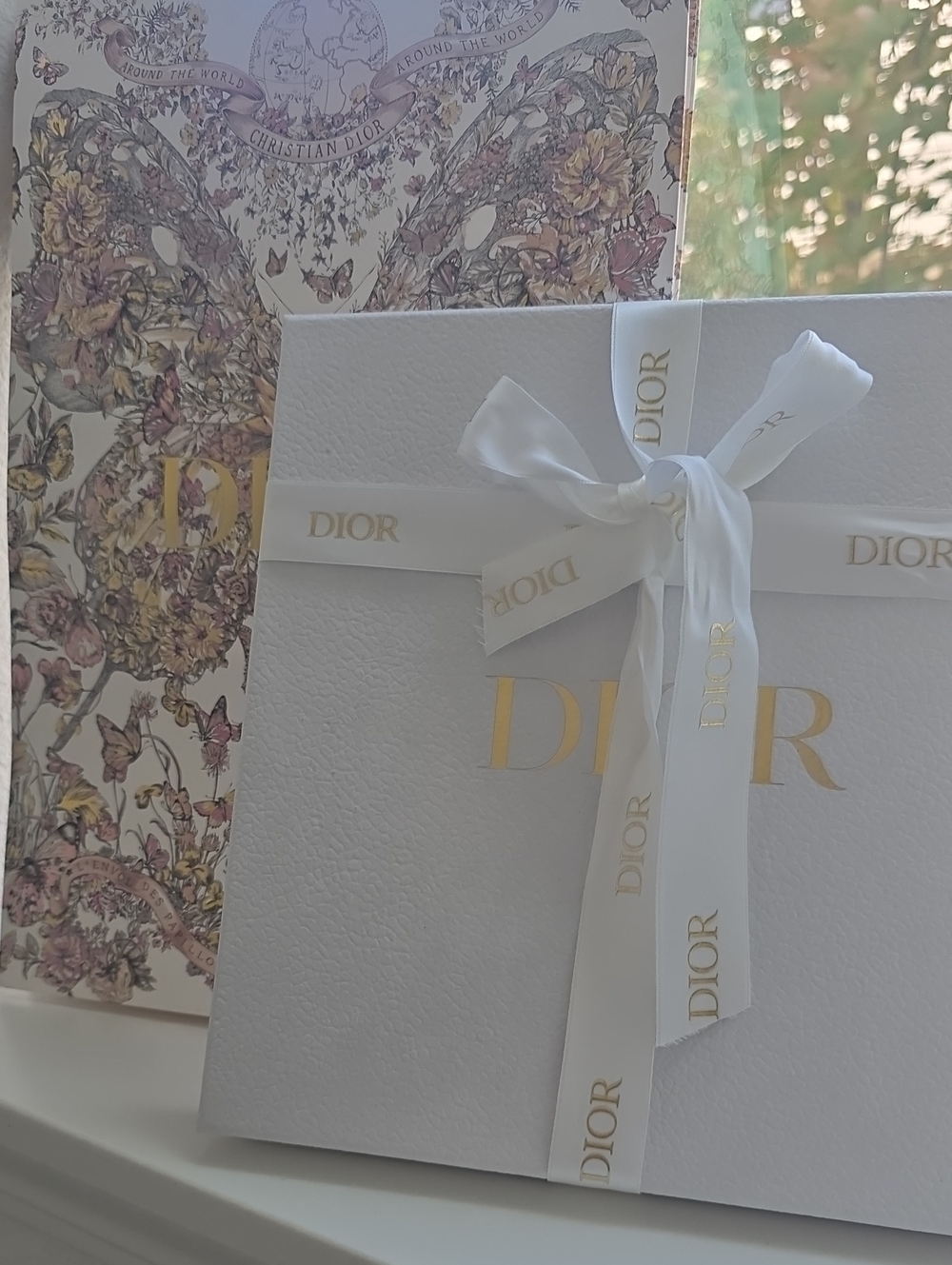 Dior Silk Scarf